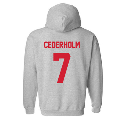 Arkansas State - NCAA Women's Soccer : Tindra Cederholm - Hooded Sweatshirt