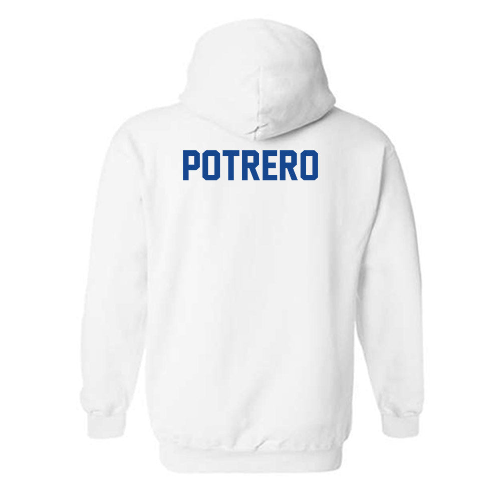 Grand Valley - NCAA Wrestling : Maria Potrero - Classic Shersey Hooded Sweatshirt