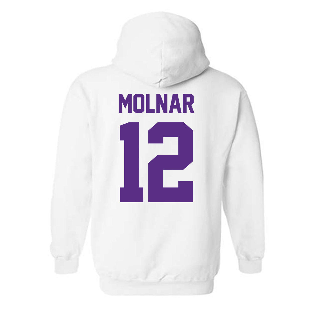 Furman - NCAA Men's Basketball : Davis Molnar - Hooded Sweatshirt