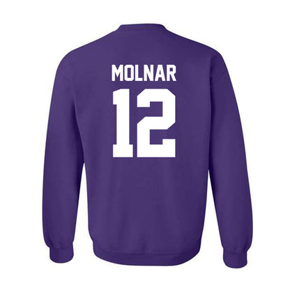 Furman - NCAA Men's Basketball : Davis Molnar - Crewneck Sweatshirt