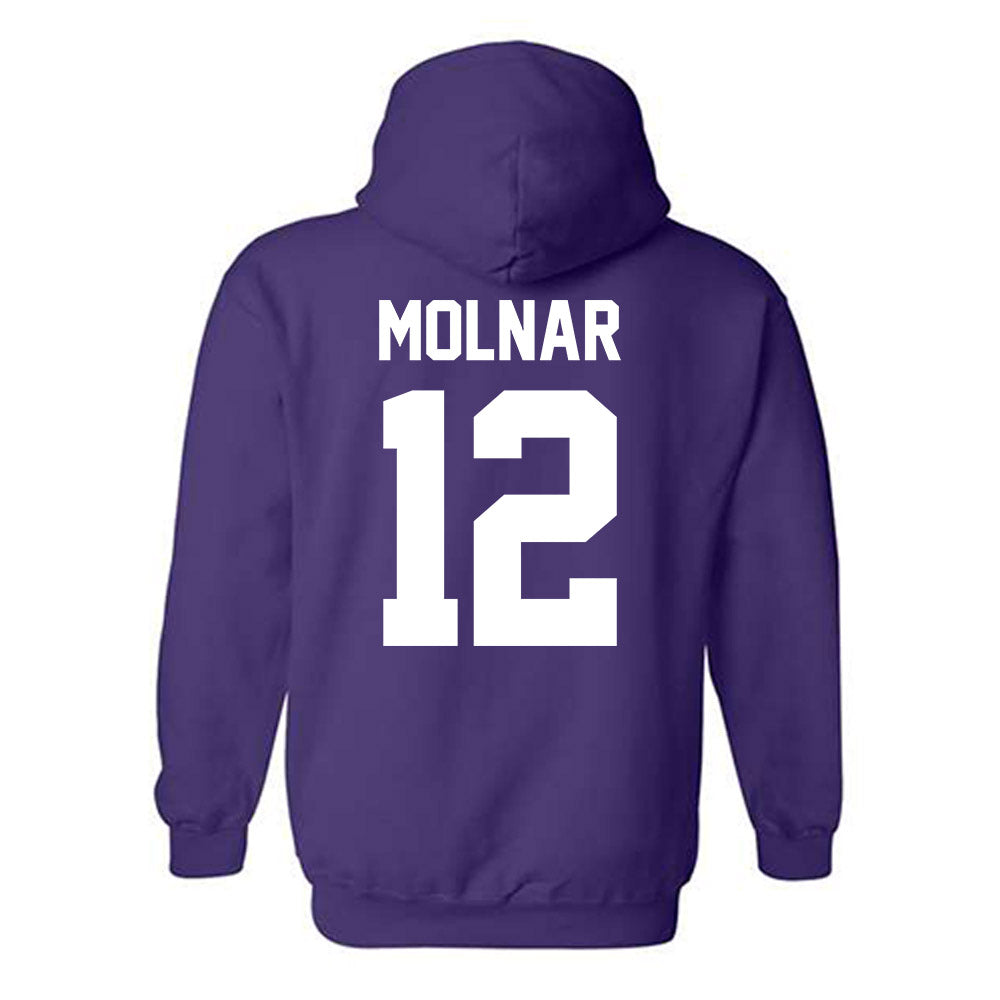 Furman - NCAA Men's Basketball : Davis Molnar - Hooded Sweatshirt