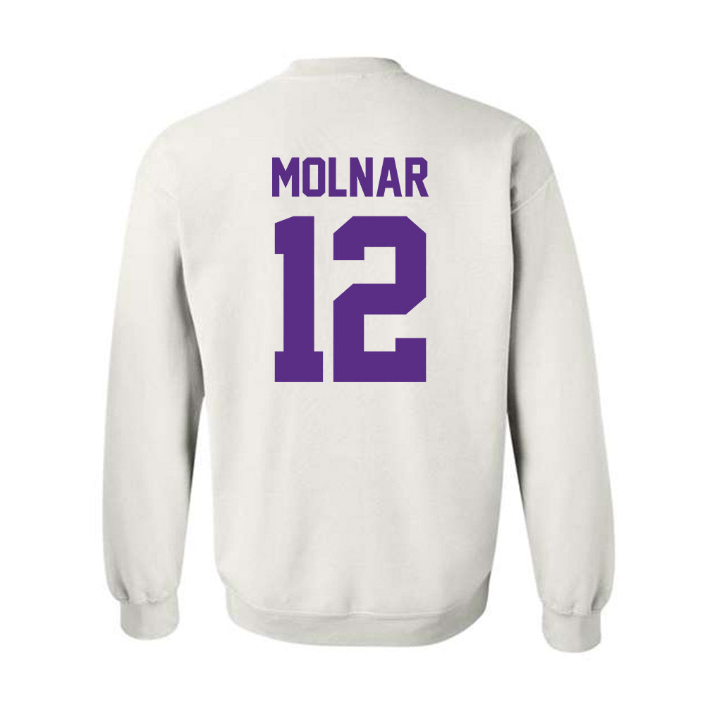 Furman - NCAA Men's Basketball : Davis Molnar - Crewneck Sweatshirt