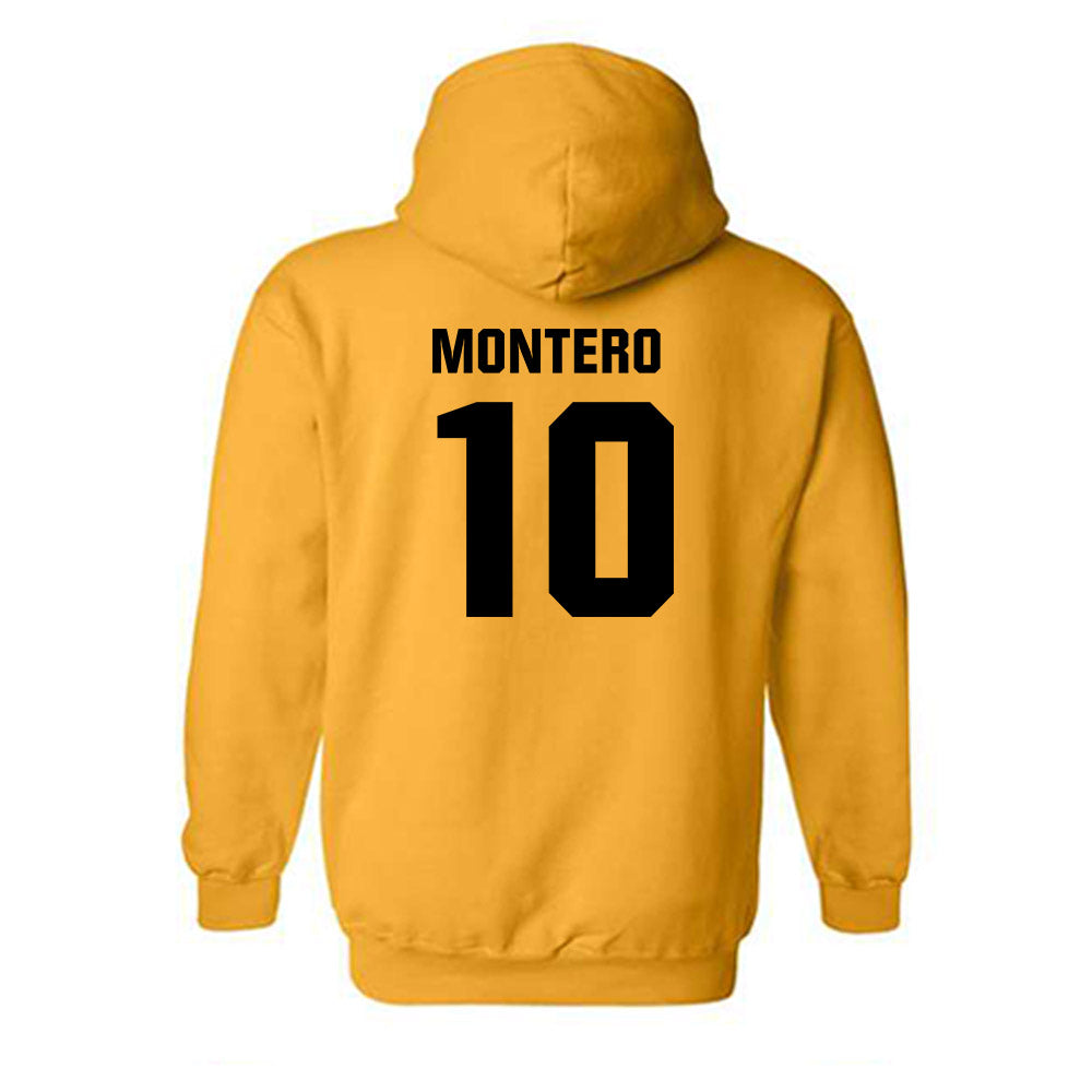 Idaho - NCAA Women's Soccer : Deanna Montero - Hooded Sweatshirt-1