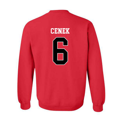 Illinois State - NCAA Women's Soccer : Sammi Cenek - Crewneck Sweatshirt