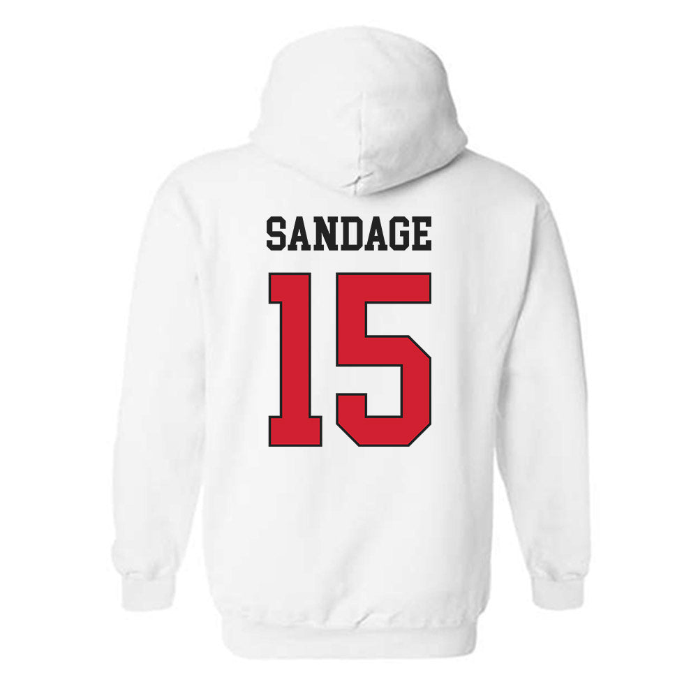 Illinois State - NCAA Men's Basketball : Colton Sandage - Hooded Sweatshirt