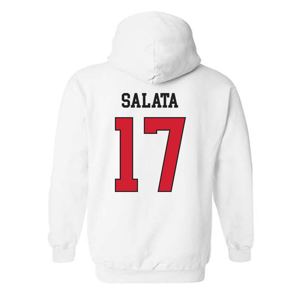 Illinois State - NCAA Women's Volleyball : Lauren Salata - Classic Shersey Hooded Sweatshirt-1