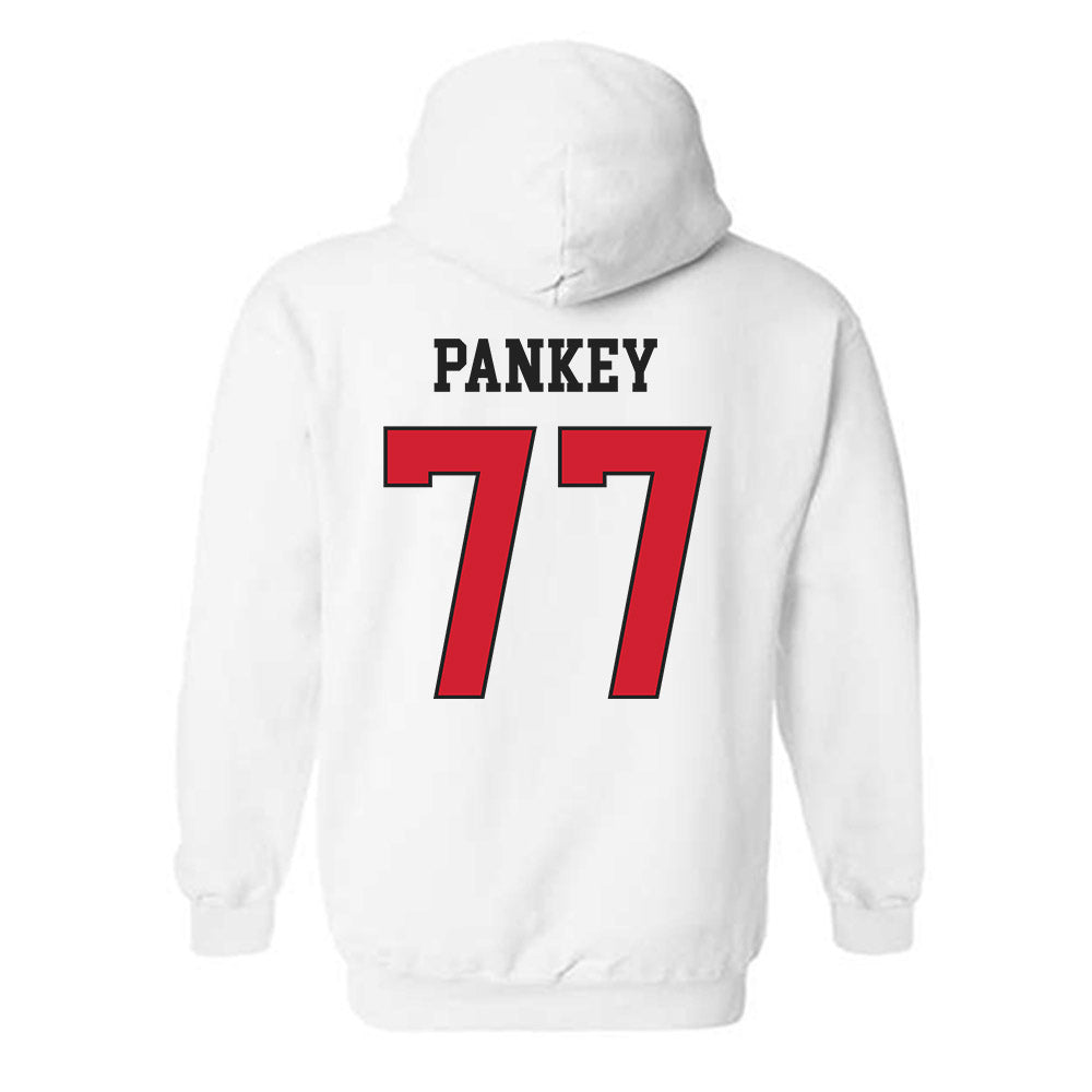Illinois State - NCAA Football : Jace Pankey - Classic Shersey Hooded Sweatshirt-1