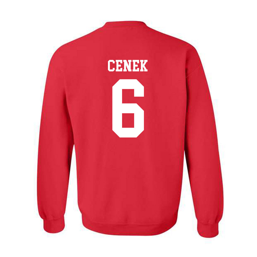Illinois State - NCAA Women's Soccer : Sammi Cenek - Crewneck Sweatshirt