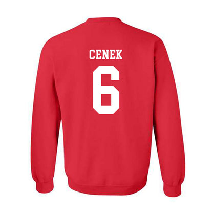 Illinois State - NCAA Women's Soccer : Sammi Cenek - Crewneck Sweatshirt