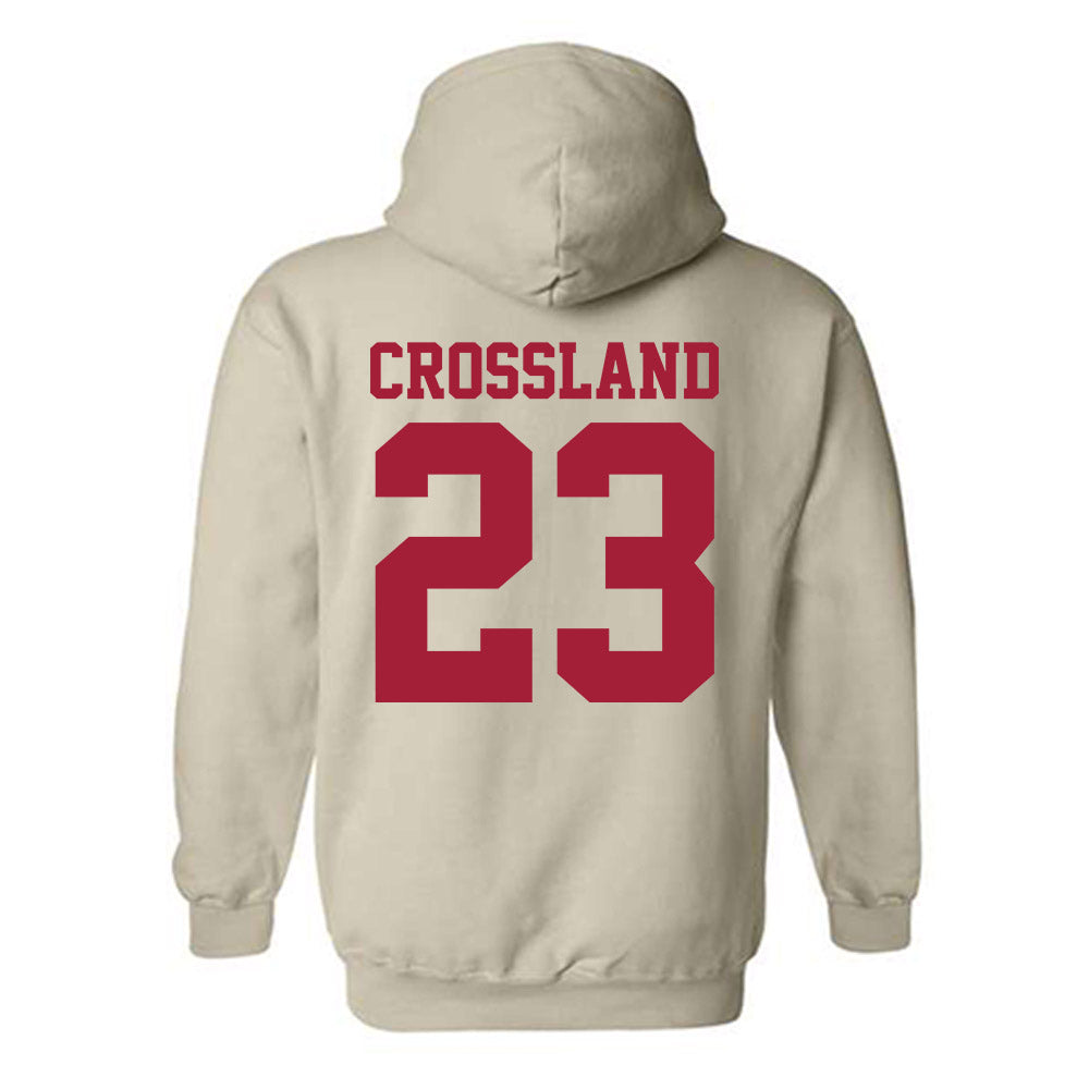 Oklahoma - NCAA Baseball : Cade Crossland - Fashion Shersey Hooded Sweatshirt-1