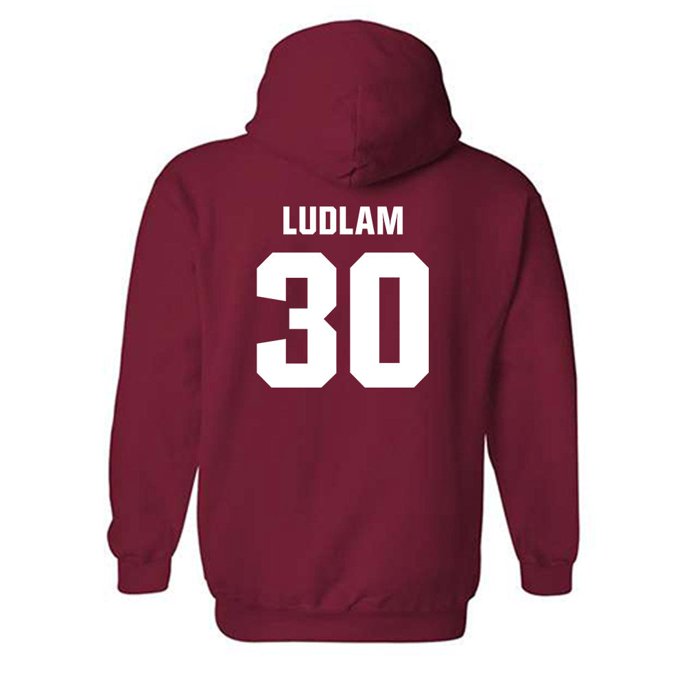 Oklahoma - NCAA Softball : Riley Ludlam - Classic Shersey Hooded Sweatshirt-1