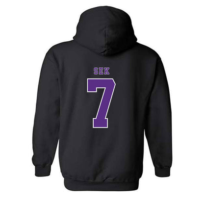 TCU - NCAA Beach Volleyball : Josephine Sek - Classic Shersey Hooded Sweatshirt