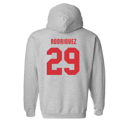 Louisiana - NCAA Baseball : Blaze Rodriguez - Classic Shersey Hooded Sweatshirt-1
