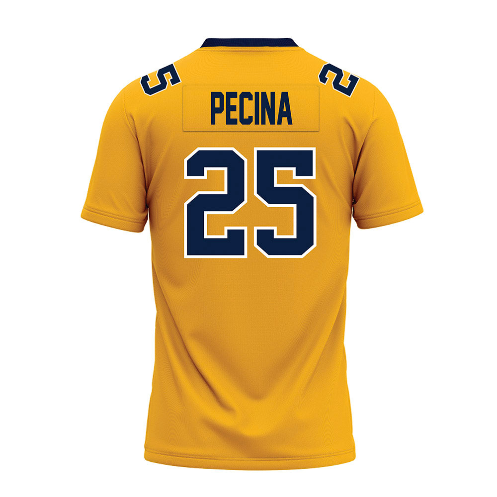 AU - NCAA Football : Jake Pecina - Premium Football Jersey