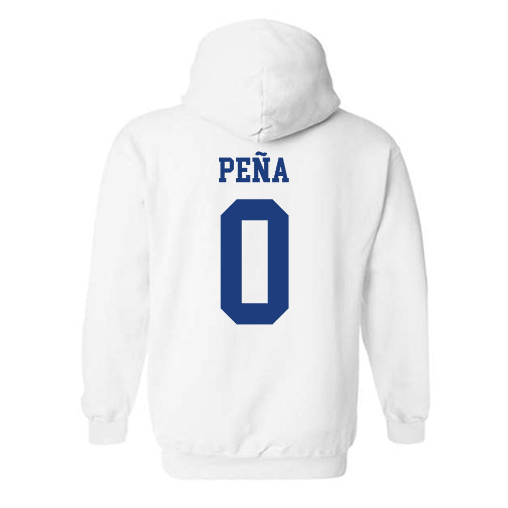Florida - NCAA Women's Soccer : Paloma Peña - Hooded Sweatshirt-1