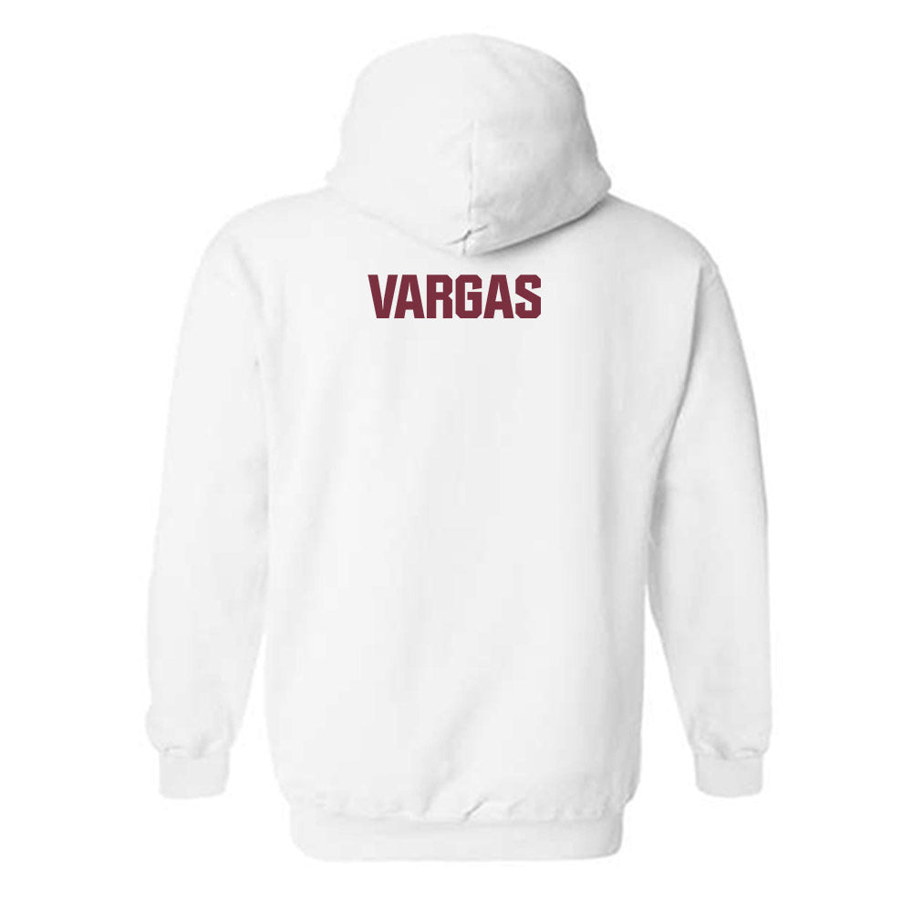 FSU - NCAA Men's Swimming & Diving : Carlos vargas - Generic Shersey Hooded Sweatshirt-1