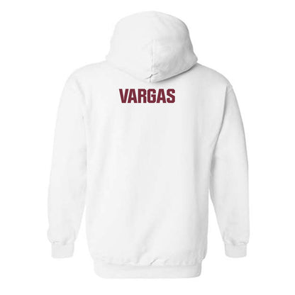 FSU - NCAA Men's Swimming & Diving : Carlos vargas - Generic Shersey Hooded Sweatshirt-1