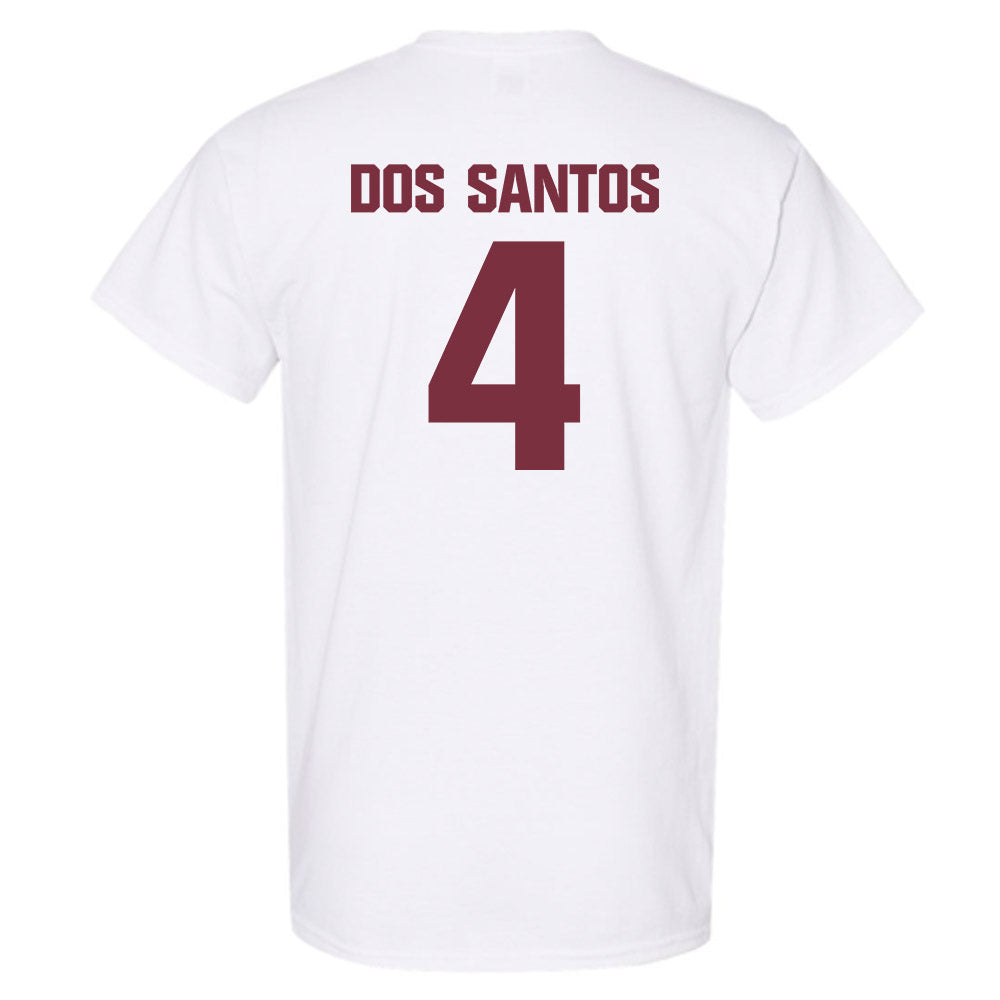 FSU - NCAA Women's Basketball : Raiane Dos Santos - Generic Shersey T-Shirt-1