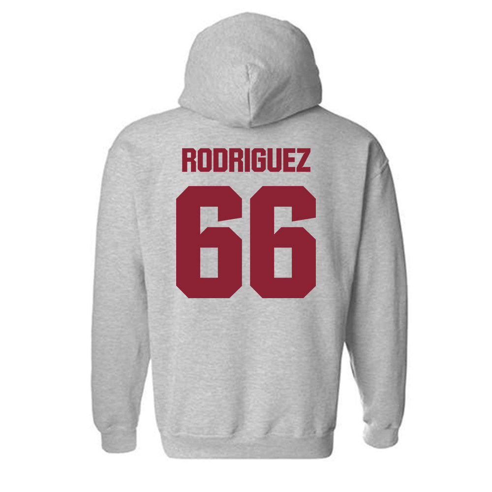 Iowa State - NCAA Softball : Aziza Rodriguez - Classic Shersey Hooded Sweatshirt-1