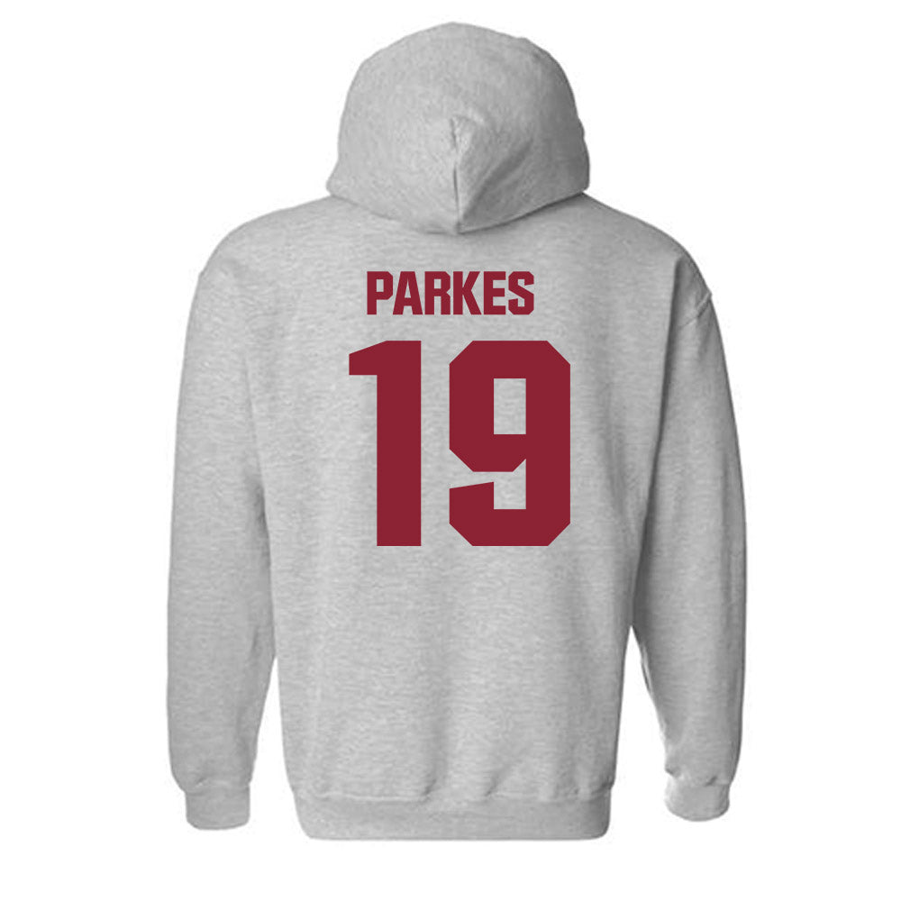 Iowa State - NCAA Football : Michael Parkes - Classic Shersey Hooded Sweatshirt