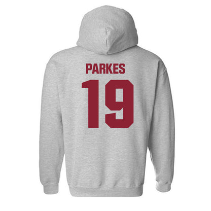 Iowa State - NCAA Football : Michael Parkes - Classic Shersey Hooded Sweatshirt