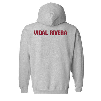 Iowa State - NCAA Women's Golf : Alexandra Vidal Rivera - Classic Shersey Hooded Sweatshirt-1