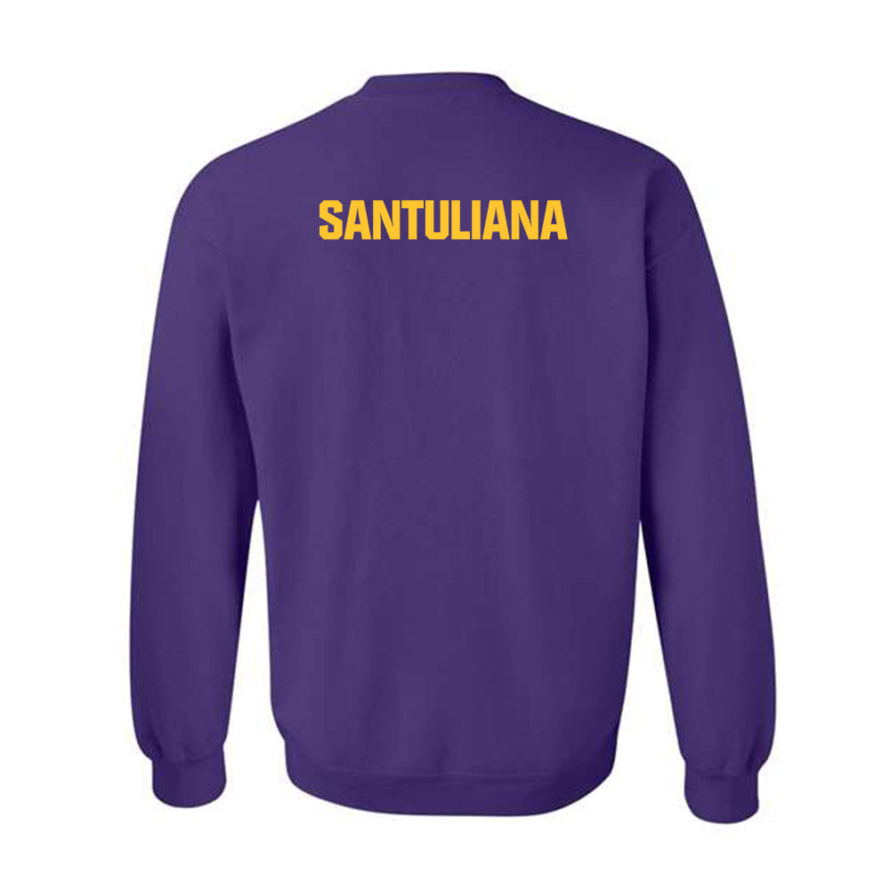 LSU - NCAA Women's Swimming & Diving : Nicole Santuliana - Classic Shersey Crewneck Sweatshirt-1