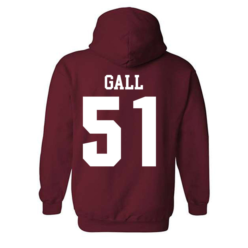 Stanford - NCAA Softball : Ava Gall - Classic Shersey Hooded Sweatshirt-1