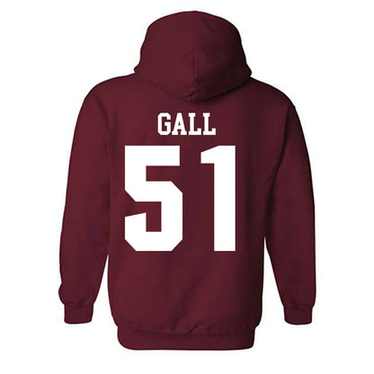 Stanford - NCAA Softball : Ava Gall - Classic Shersey Hooded Sweatshirt-1