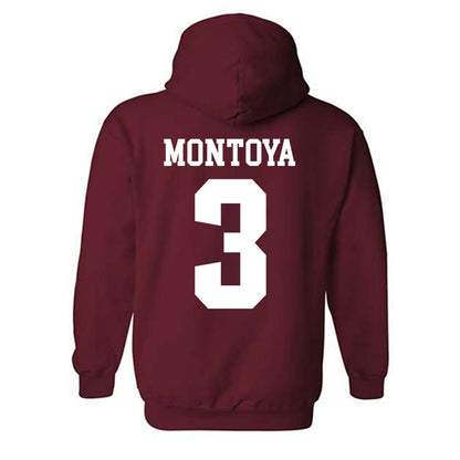 Stanford - NCAA Women's Soccer : Allie Montoya - Classic Shersey Hooded Sweatshirt-1