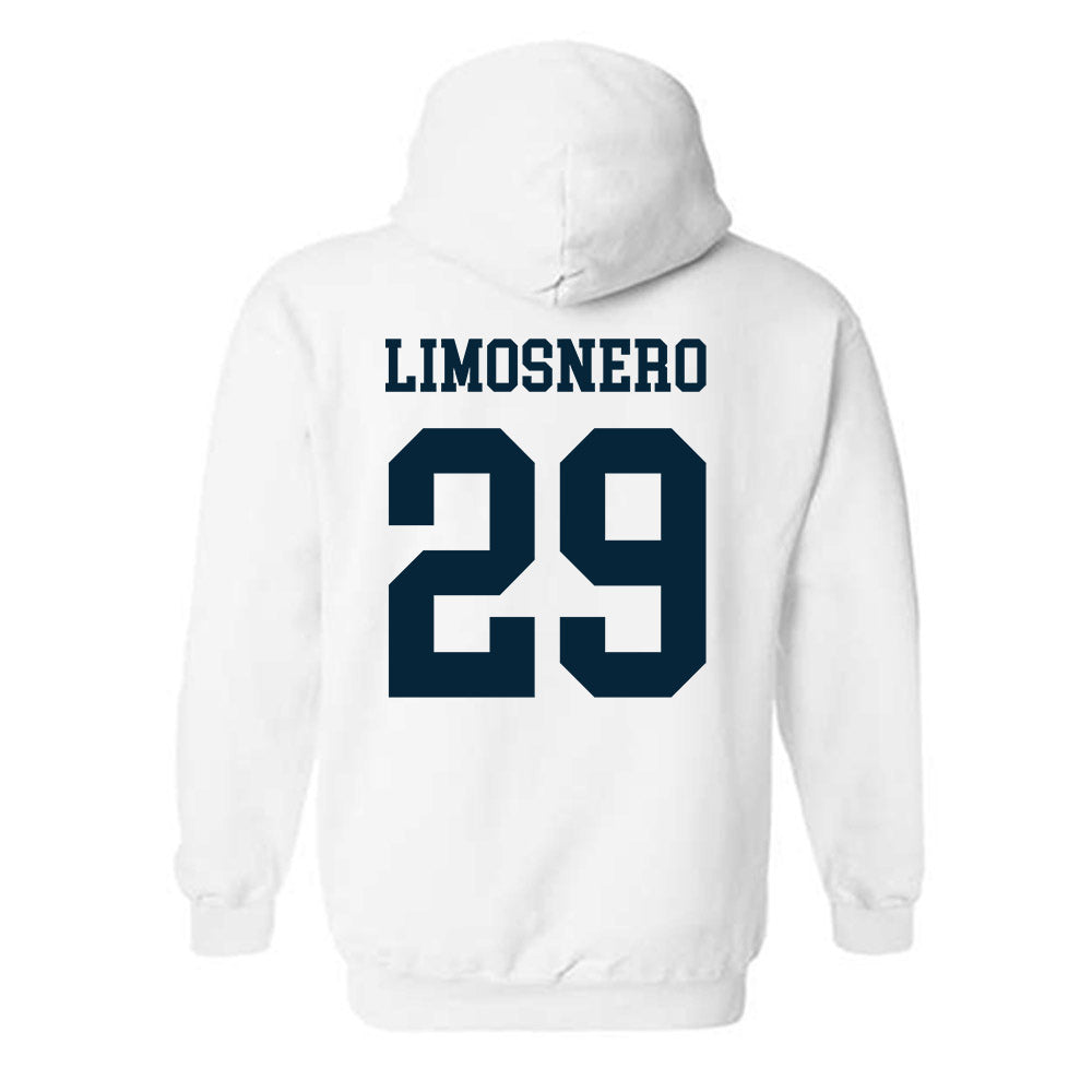 Utah State - NCAA Softball : Carly Limosnero - Classic Shersey Hooded Sweatshirt-1
