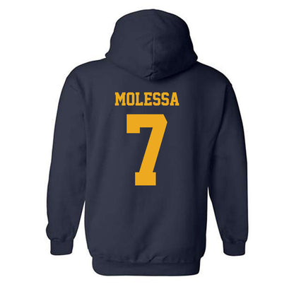 West Virginia - NCAA Baseball : Maxwell Molessa - Classic Shersey Hooded Sweatshirt-1