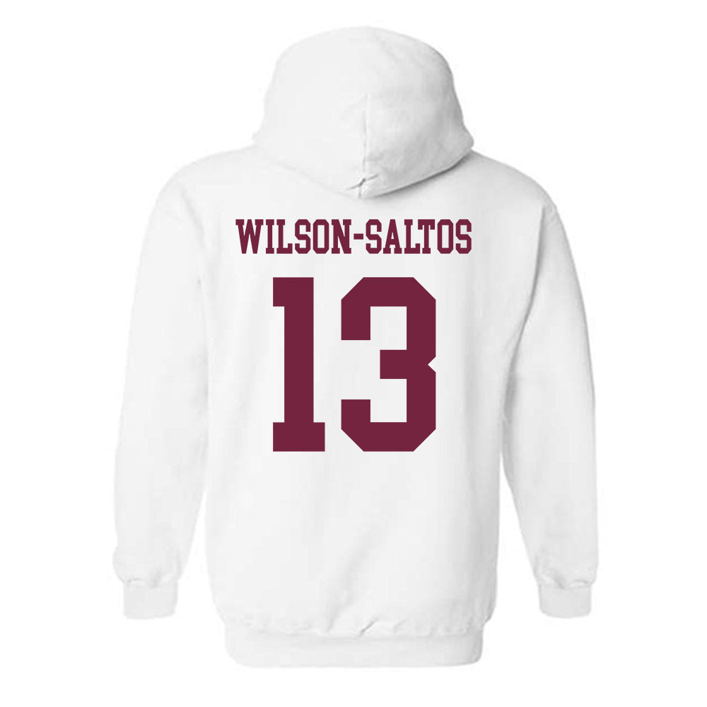Fordham - NCAA Women's Basketball : Emma Wilson-Saltos - Classic Shersey Hooded Sweatshirt