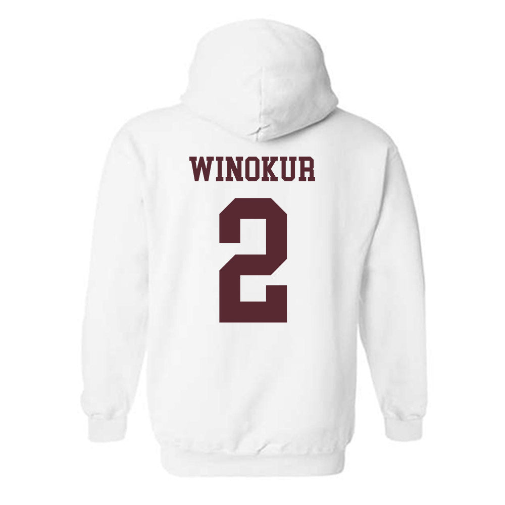 Loyola - NCAA Men's Volleyball : Benjamin Winokur - Classic Shersey Hooded Sweatshirt