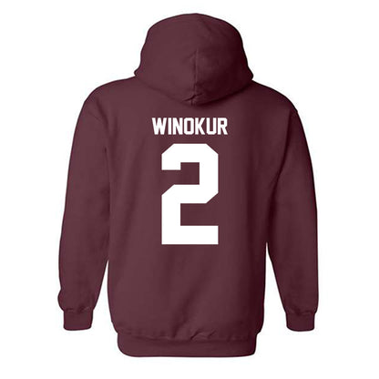 Loyola - NCAA Men's Volleyball : Benjamin Winokur - Classic Shersey Hooded Sweatshirt