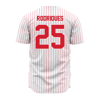 Youngstown State - NCAA Baseball : Michael Rodriques - Pinstripe Jersey-1