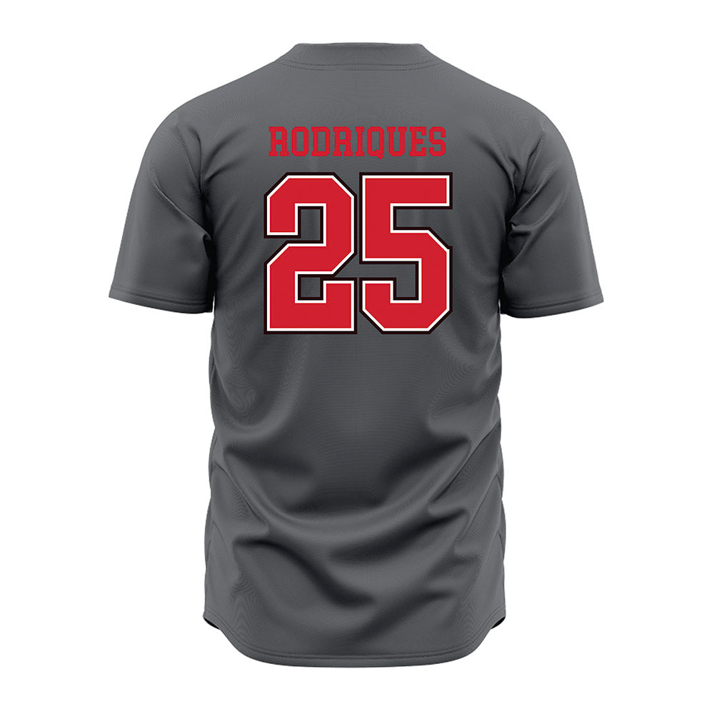 Youngstown State - NCAA Baseball : Michael Rodriques - Grey Jersey-1