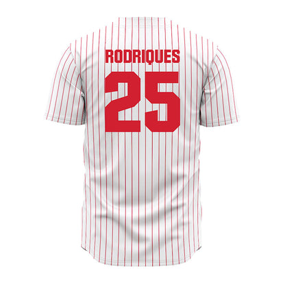 Youngstown State - NCAA Baseball : Michael Rodriques - Pinstripe Jersey-1