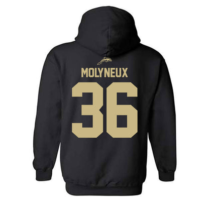 Jacksonville - NCAA Men's Lacrosse : Connor Molyneux - Classic Shersey Hooded Sweatshirt-1