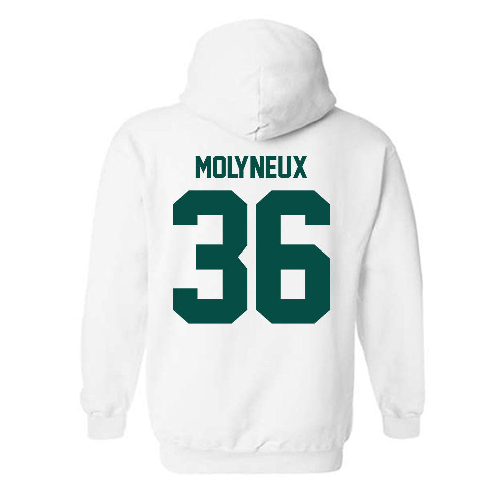 Jacksonville - NCAA Men's Lacrosse : Connor Molyneux - Classic Shersey Hooded Sweatshirt-1