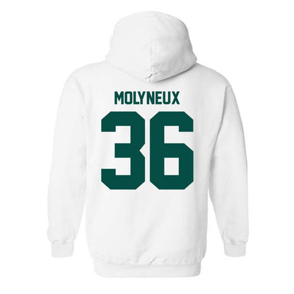 Jacksonville - NCAA Men's Lacrosse : Connor Molyneux - Classic Shersey Hooded Sweatshirt-1