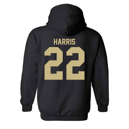 Jacksonville - NCAA Men's Golf : Will Harris - Classic Shersey Hooded Sweatshirt-1