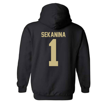Jacksonville - NCAA Men's Soccer : Christian Sekanina - Classic Shersey Hooded Sweatshirt-1
