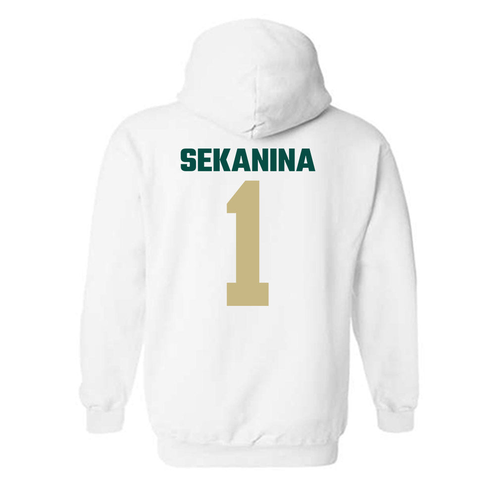Jacksonville - NCAA Men's Soccer : Christian Sekanina - Classic Shersey Hooded Sweatshirt-1