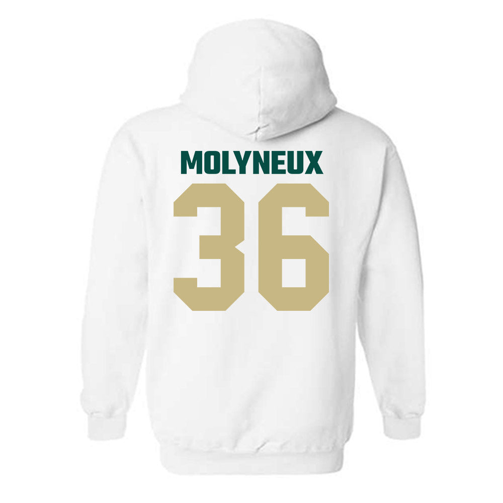 Jacksonville - NCAA Men's Lacrosse : Connor Molyneux - Classic Shersey Hooded Sweatshirt-1