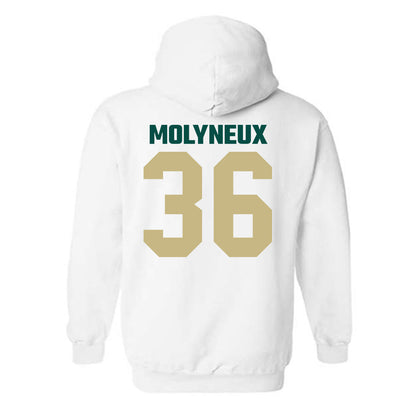 Jacksonville - NCAA Men's Lacrosse : Connor Molyneux - Classic Shersey Hooded Sweatshirt-1