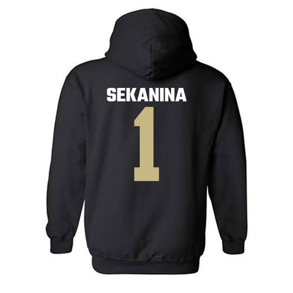 Jacksonville - NCAA Men's Soccer : Christian Sekanina - Classic Shersey Hooded Sweatshirt-1