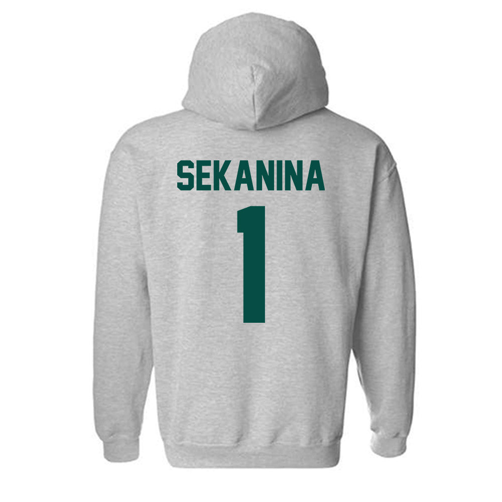Jacksonville - NCAA Men's Soccer : Christian Sekanina - Classic Shersey Hooded Sweatshirt-1