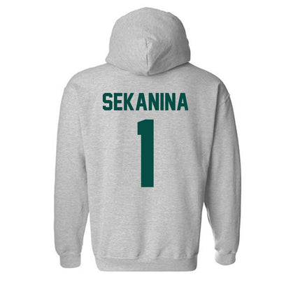 Jacksonville - NCAA Men's Soccer : Christian Sekanina - Classic Shersey Hooded Sweatshirt-1