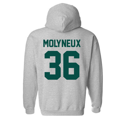 Jacksonville - NCAA Men's Lacrosse : Connor Molyneux - Classic Shersey Hooded Sweatshirt-1